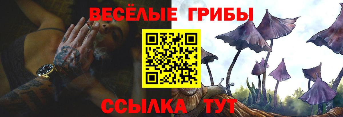 Псилоцибиновые грибы Cubensis  Вход с VPN  Воткинск 